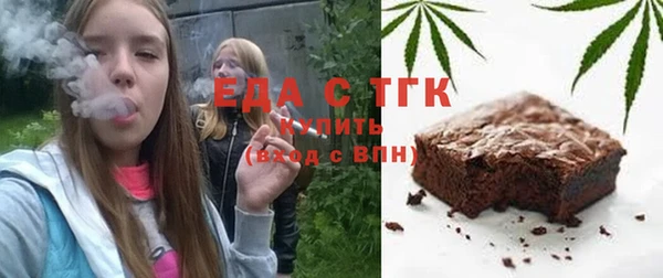 индика Алексин