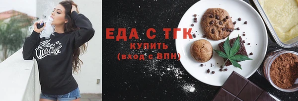 индика Алексин