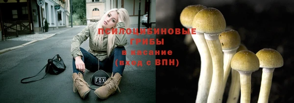 спайс Алзамай