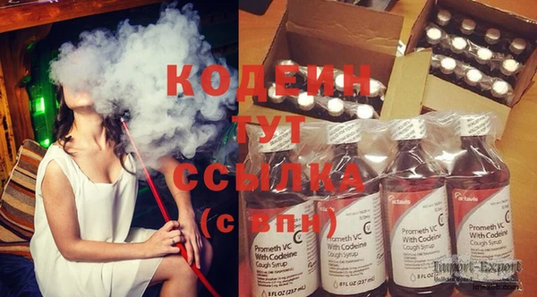 стаф Нея
