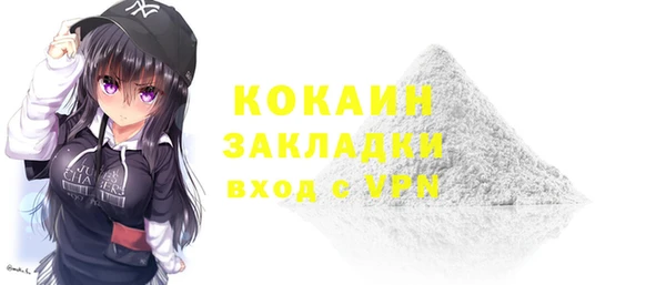 индика Алексин