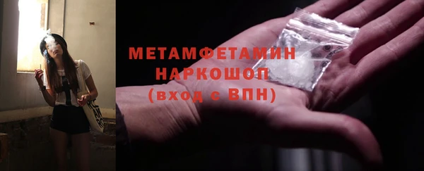 индика Алексин