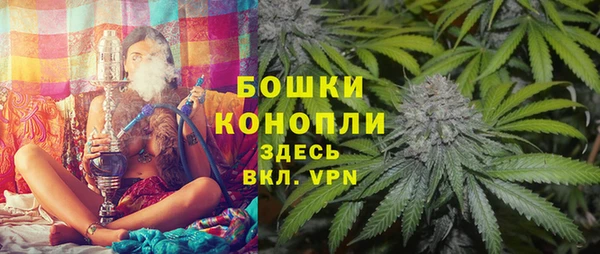спайс Алзамай