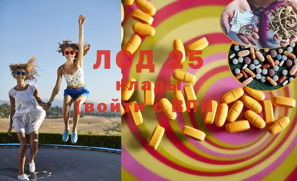 спайс Алзамай