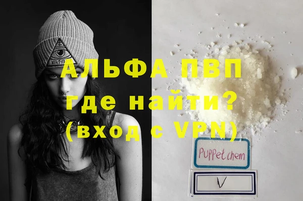 индика Алексин