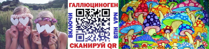 Псилоцибиновые грибы прущие грибы  Находка 